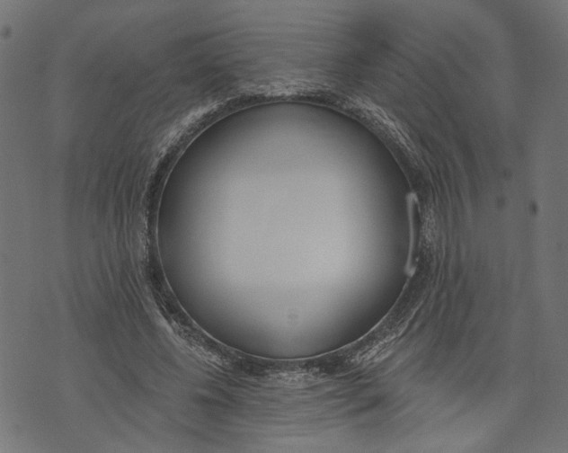 X0000073950540200609181403