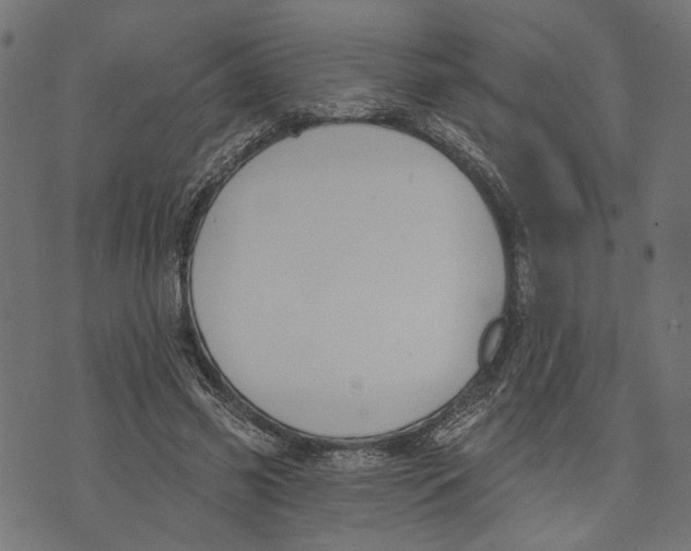 X0000073950541200609181403