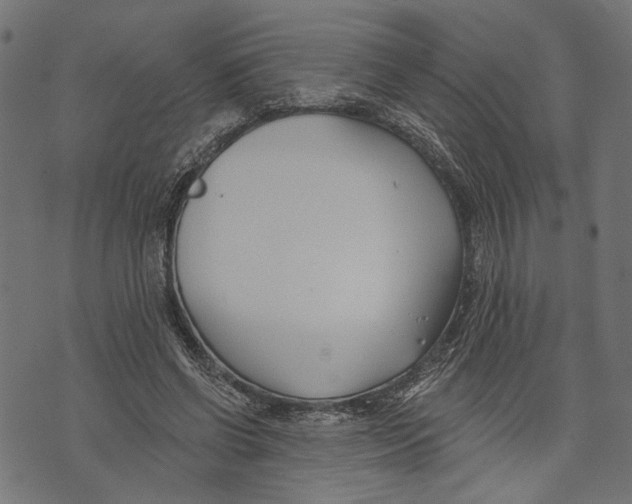 X0000073950542200609181403