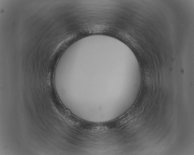 X0000073950543200609181403