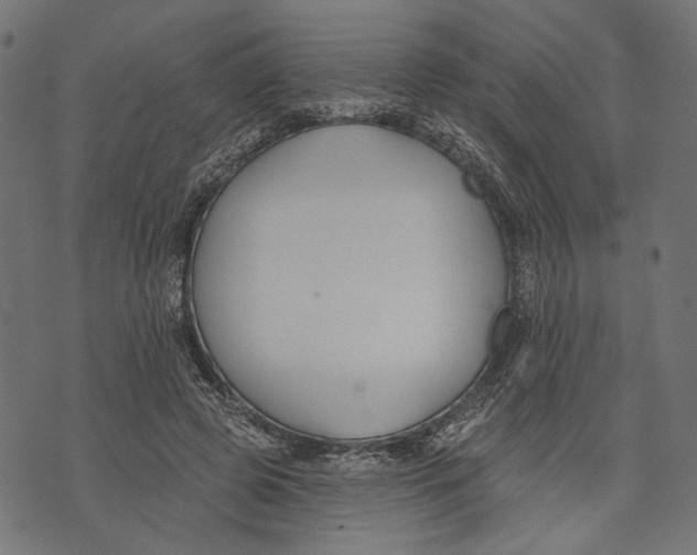 X0000073950545200609181403