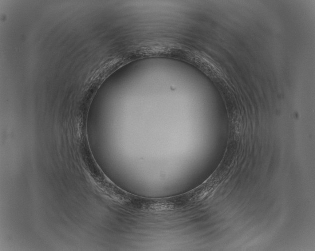 X0000073950546200609181404