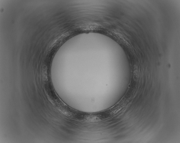 X0000073950547200609181404