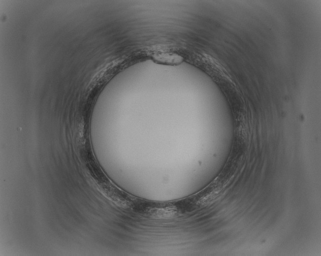 X0000073950548200609181404