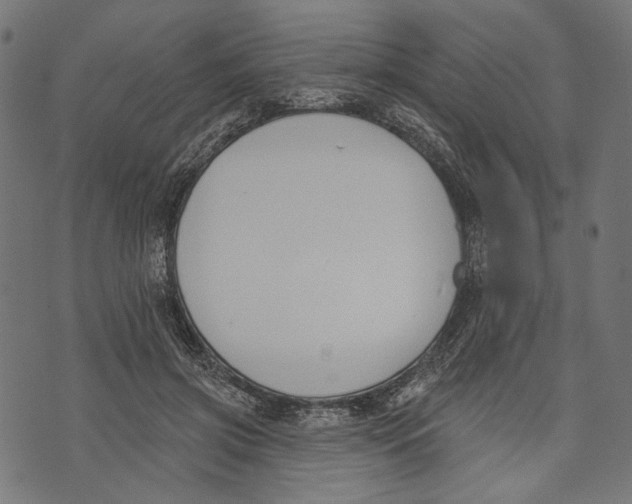 X0000073950549200609181404