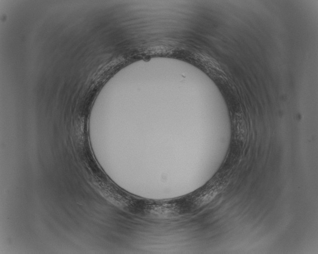 X0000073950550200609181404