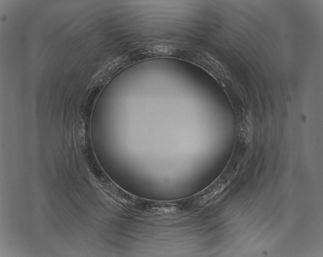 X0000073950552200609181404