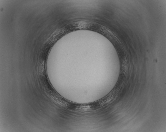 X0000073950554200609181404