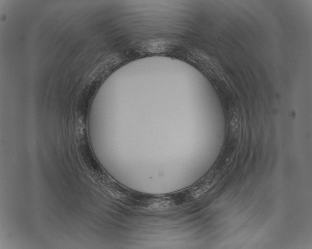 X0000073950555200609181404