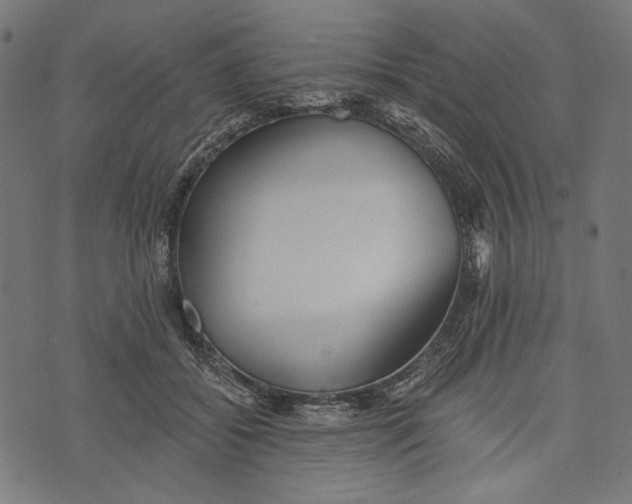 X0000073950556200609181404