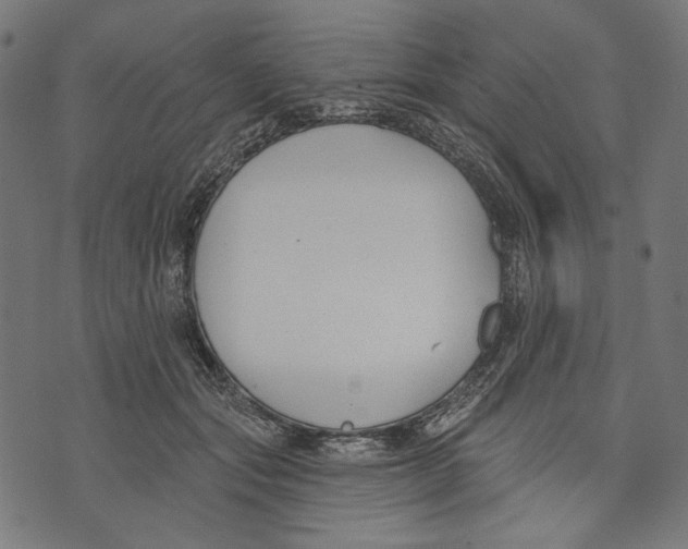 X0000073950557200609181404