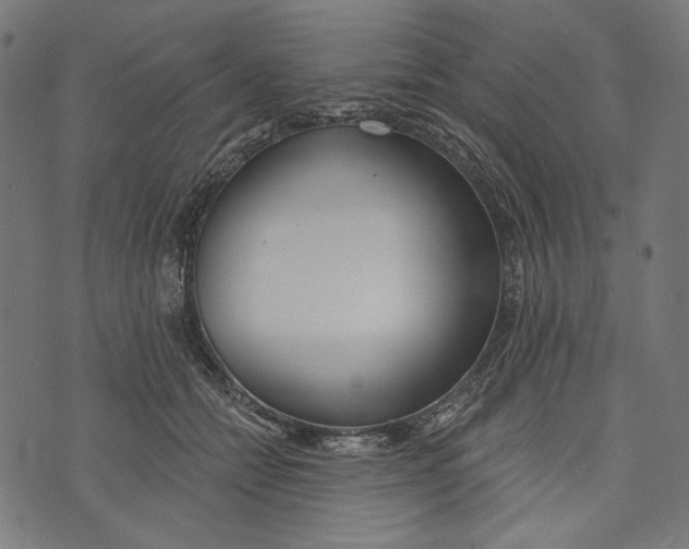 X0000073950558200609181404