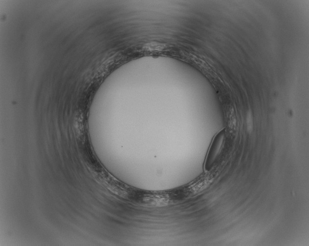 X0000073950559200609181404