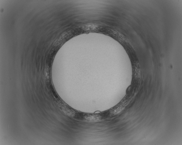 X0000073950561200609181404