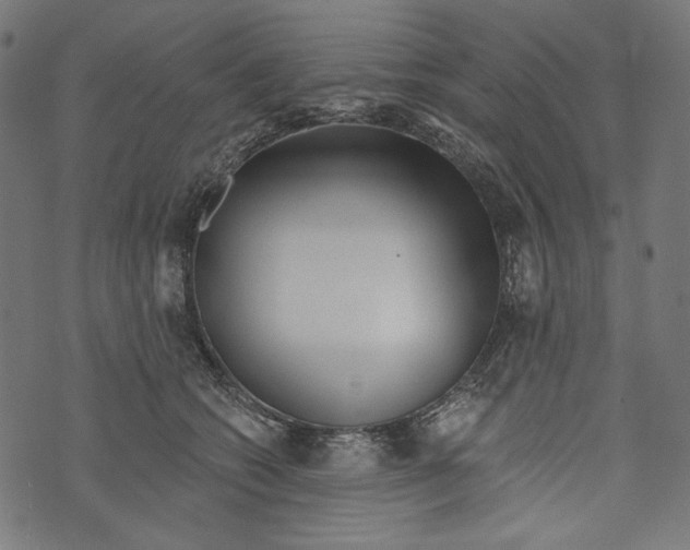 X0000073950562200609181404