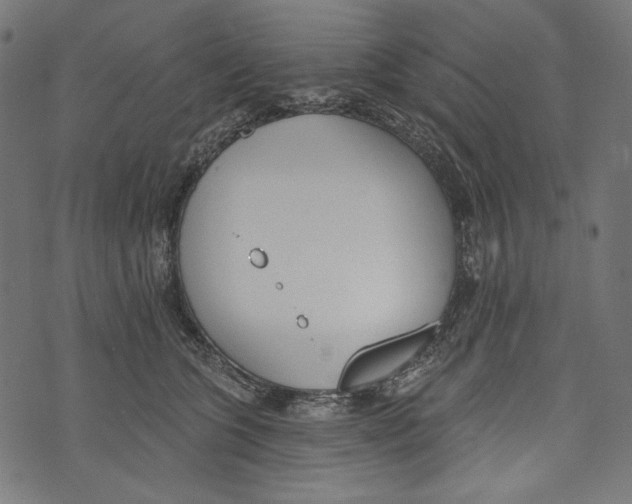 X0000073950563200609181404