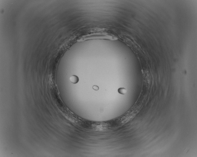 X0000073950564200609181404