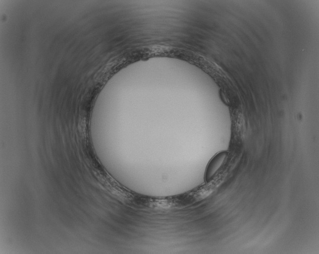 X0000073950565200609181404