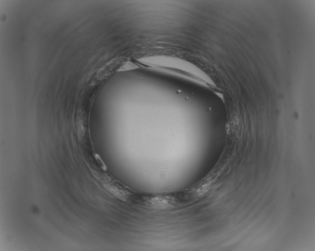 X0000073950566200609181404