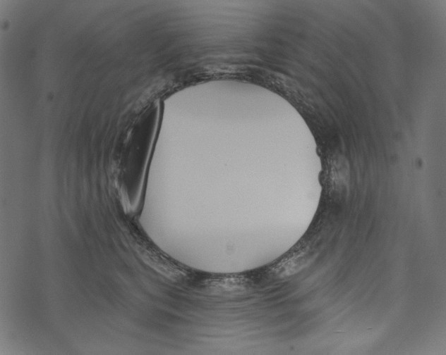 X0000073950567200609181404