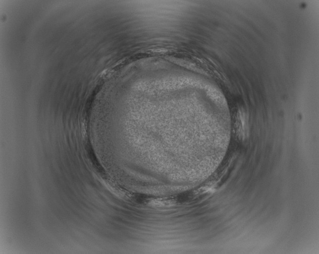 X0000073950568200609181404