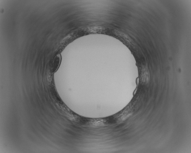 X0000073950569200609181404