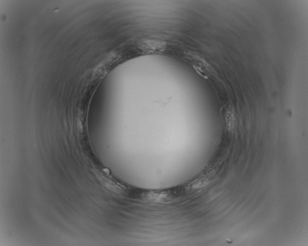 X0000073950570200609181404