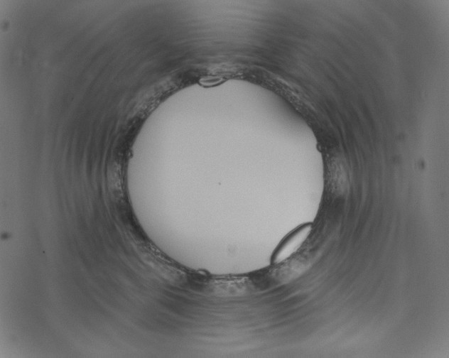 X0000073950571200609181404