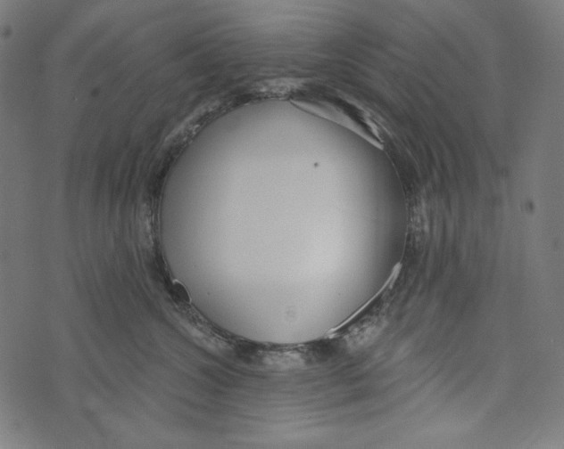 X0000073950572200609181404