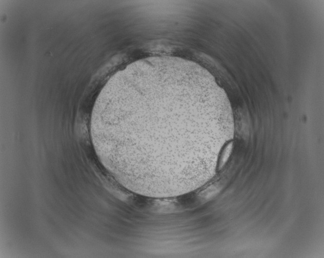 X0000073950573200609181404