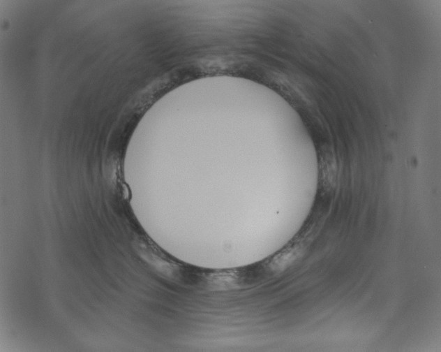 X0000073950574200609181404