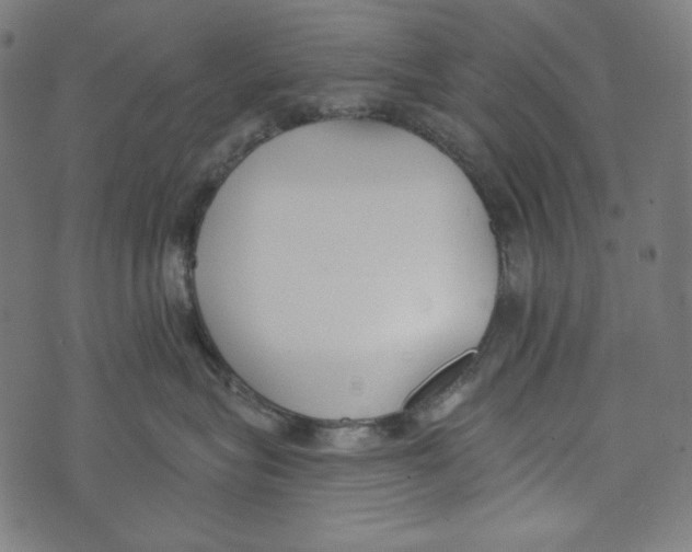 X0000073950575200609181404