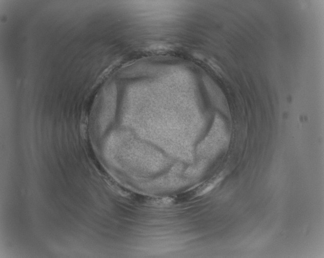 X0000073950576200609181404