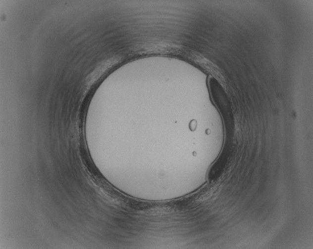 X0000073950578200609181403