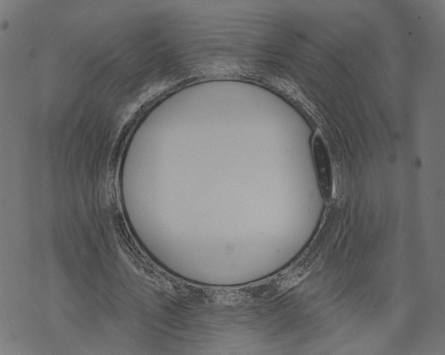 X0000073950579200609181403