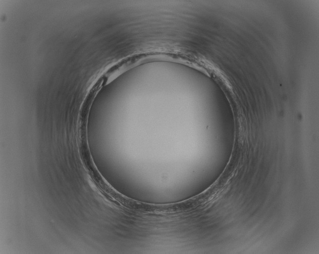 X0000073950580200609181403