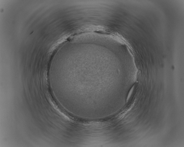 X0000073950581200609181403