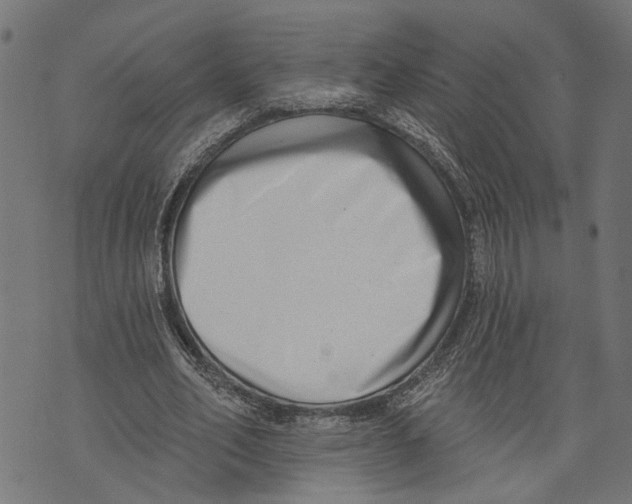 X0000073950582200609181403