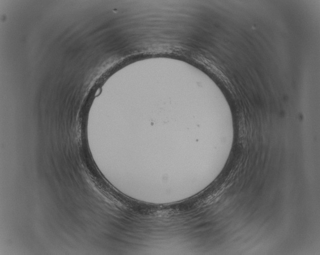 X0000073950584200609181403