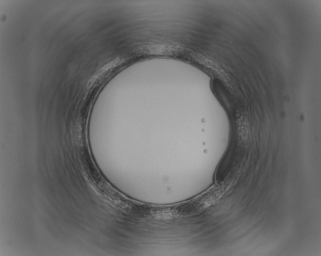 X0000073950587200609181403