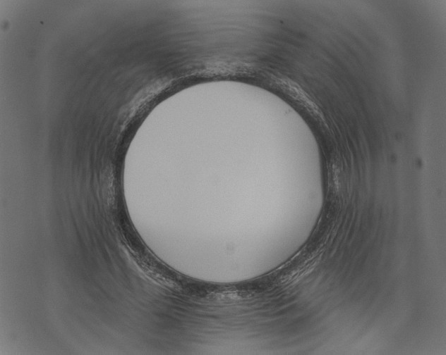 X0000073950588200609181403