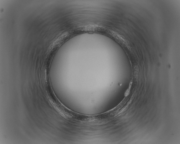 X0000073950589200609181403