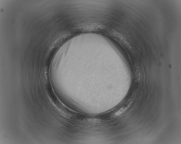 X0000073950590200609181403