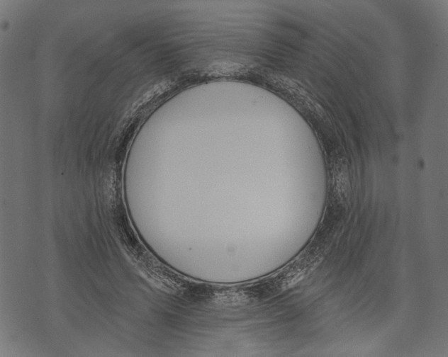 X0000073950591200609181403