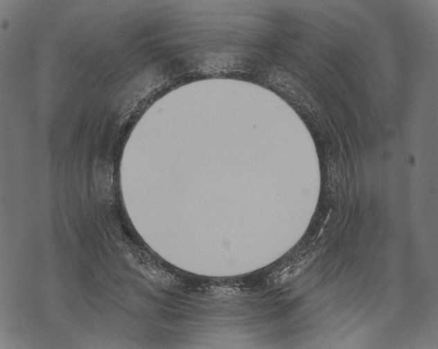 X0000073950592200609181403