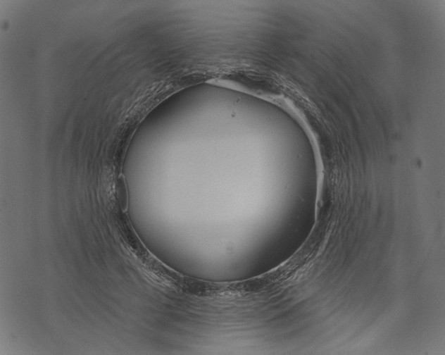 X0000073950593200609181403