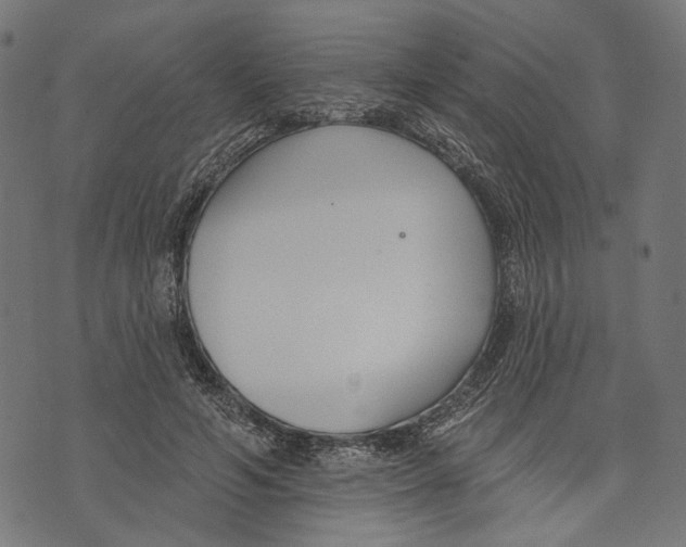 X0000073950594200609181403