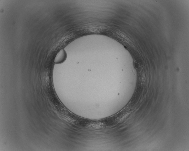 X0000073950595200609181403