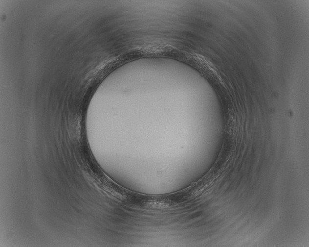 X0000073950596200609181403