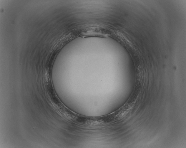 X0000073950597200609181403